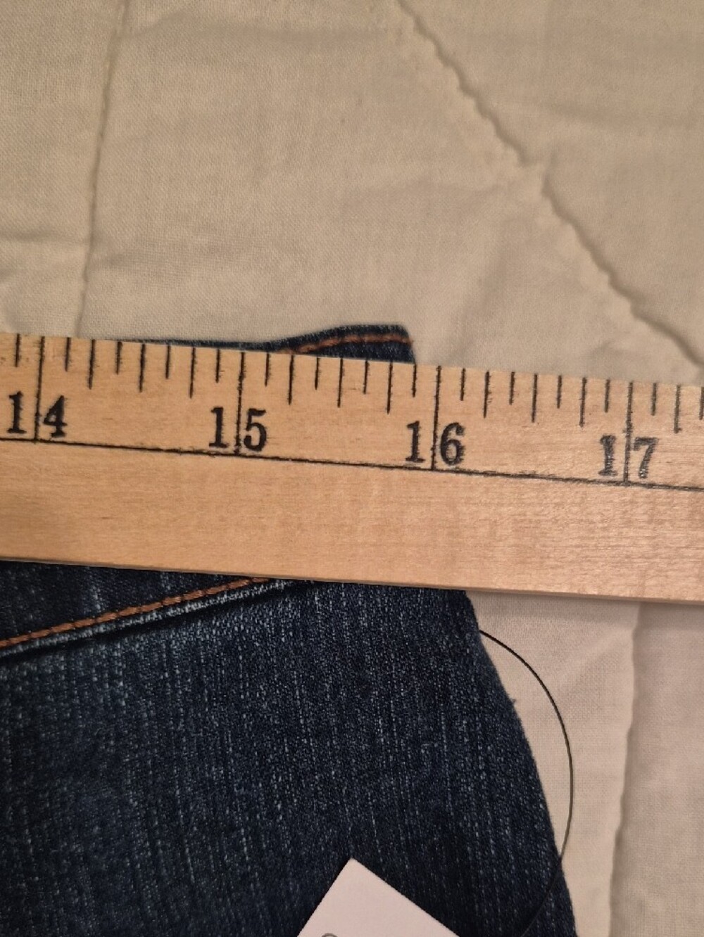 Gloria Vanderbilt Amanda Capris- Size 14 P - Picture 3 of 11